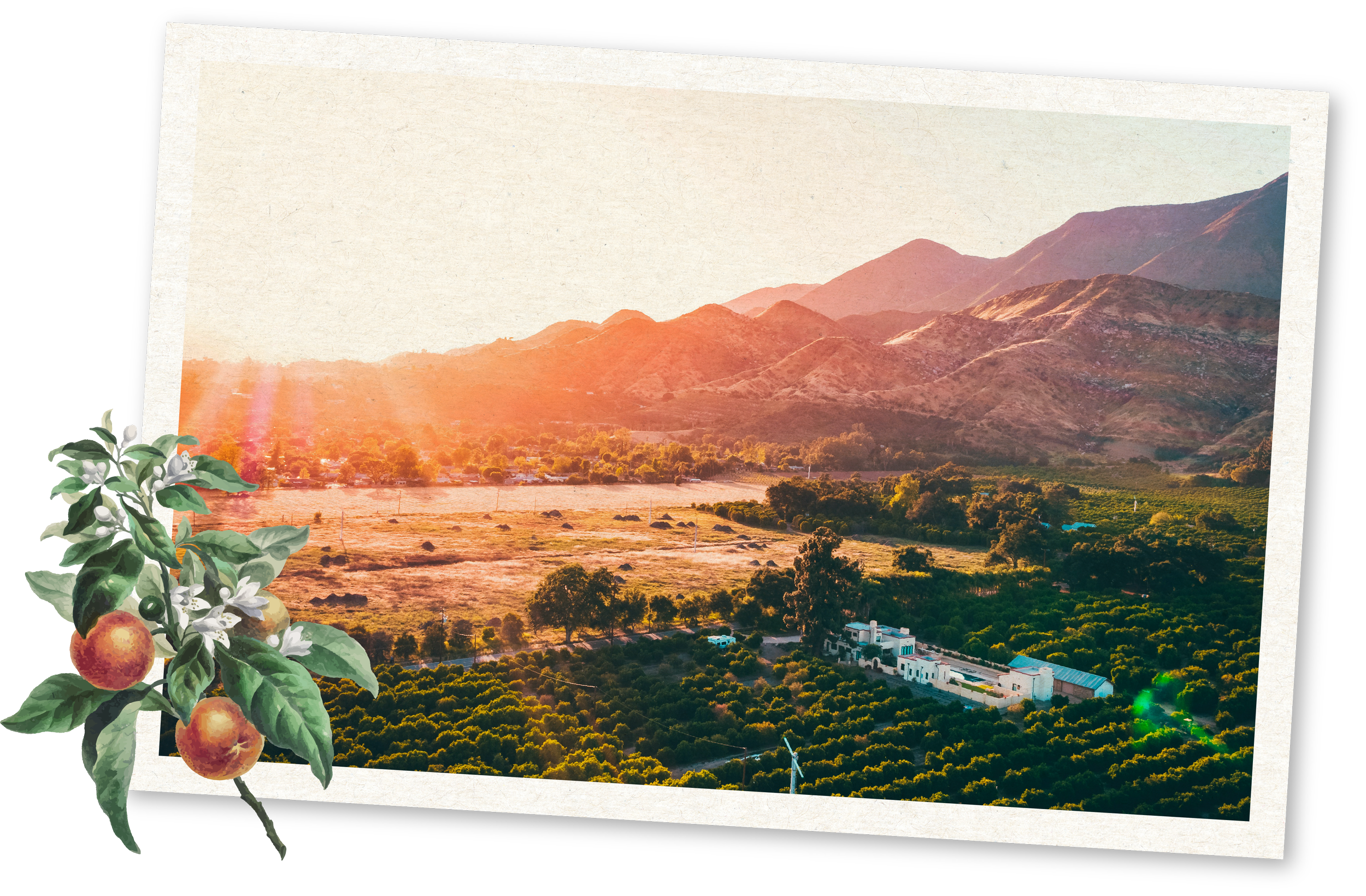 A scenic landscape photo of rolling hills and mountains during sunset or sunrise with a valley in the foreground, decorated with a digital photo frame and a plant with white flowers and orange fruit in the corner.