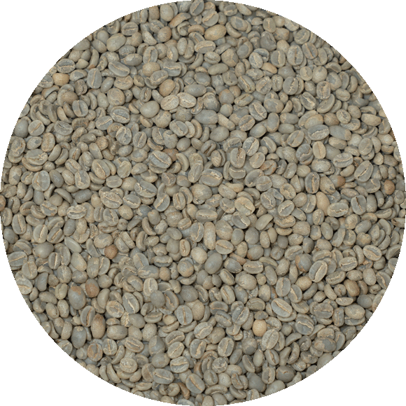 (Guatemala) Huehuetenango Green Coffee Beans