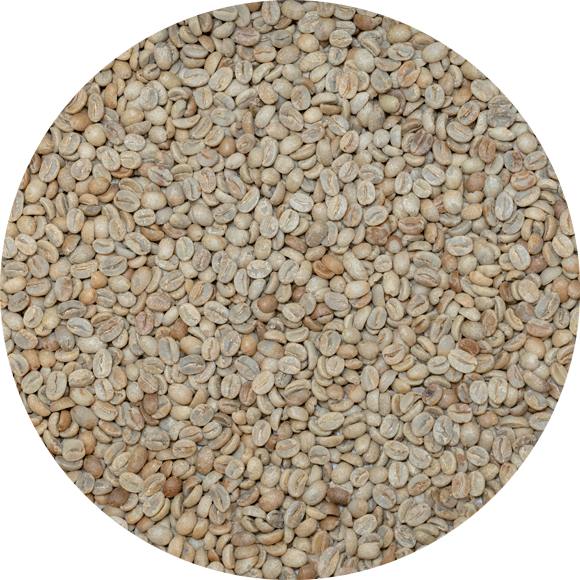 (Panama) Catuai Green Coffee Beans