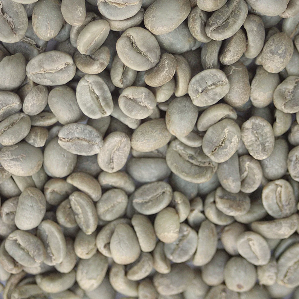 (Columbia) Sierra Nevada Green Coffee Beans
