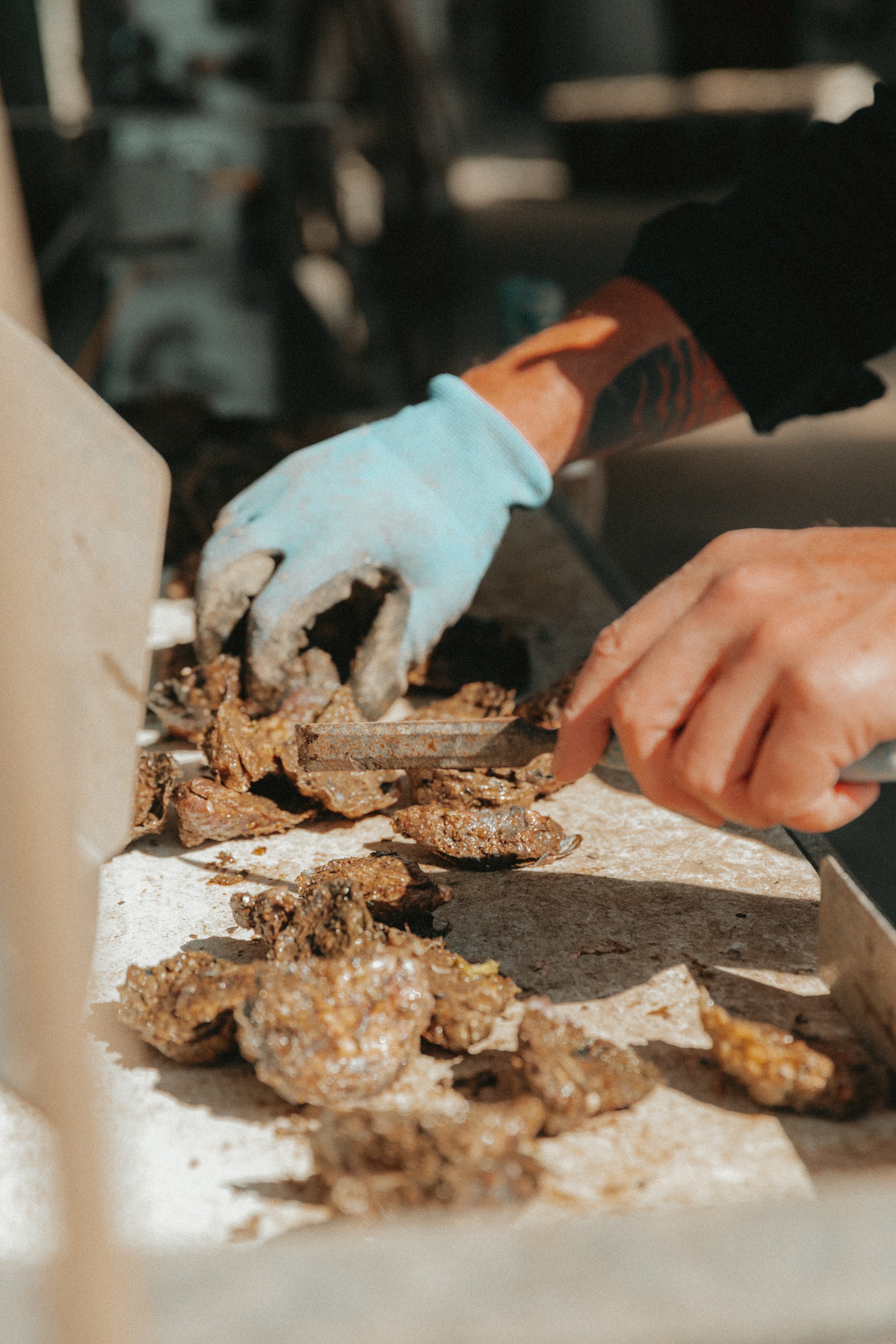 Bistro Oysters - 10 Doz Unopened