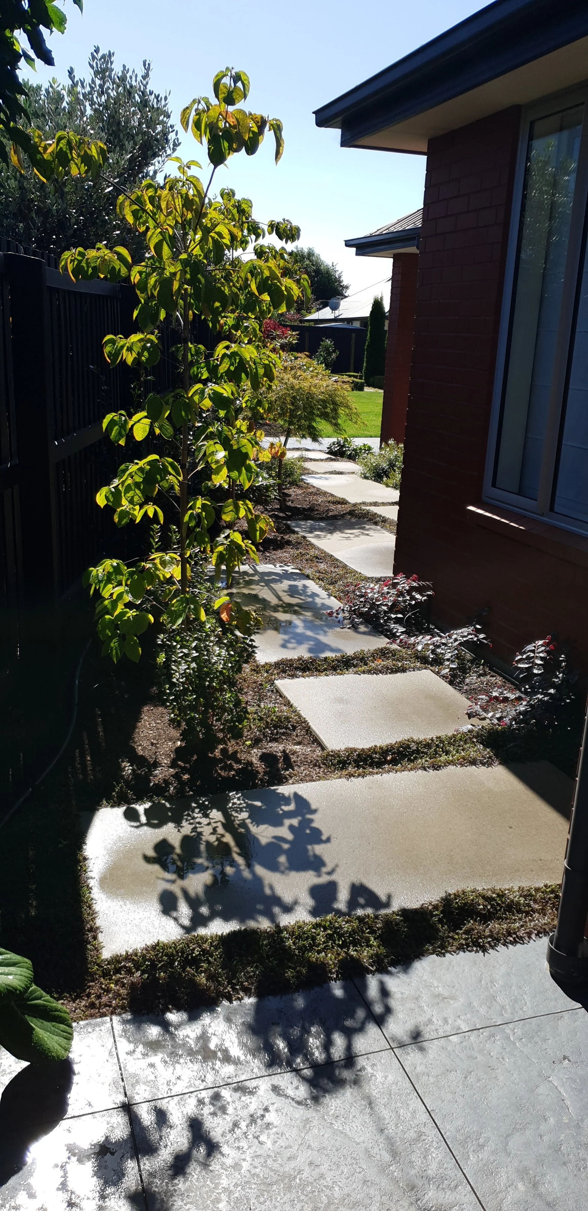A small garden pathway with stepping stones and plants along the side of a house, with a black fence on the left and a brick house on the right, under bright sunlight.