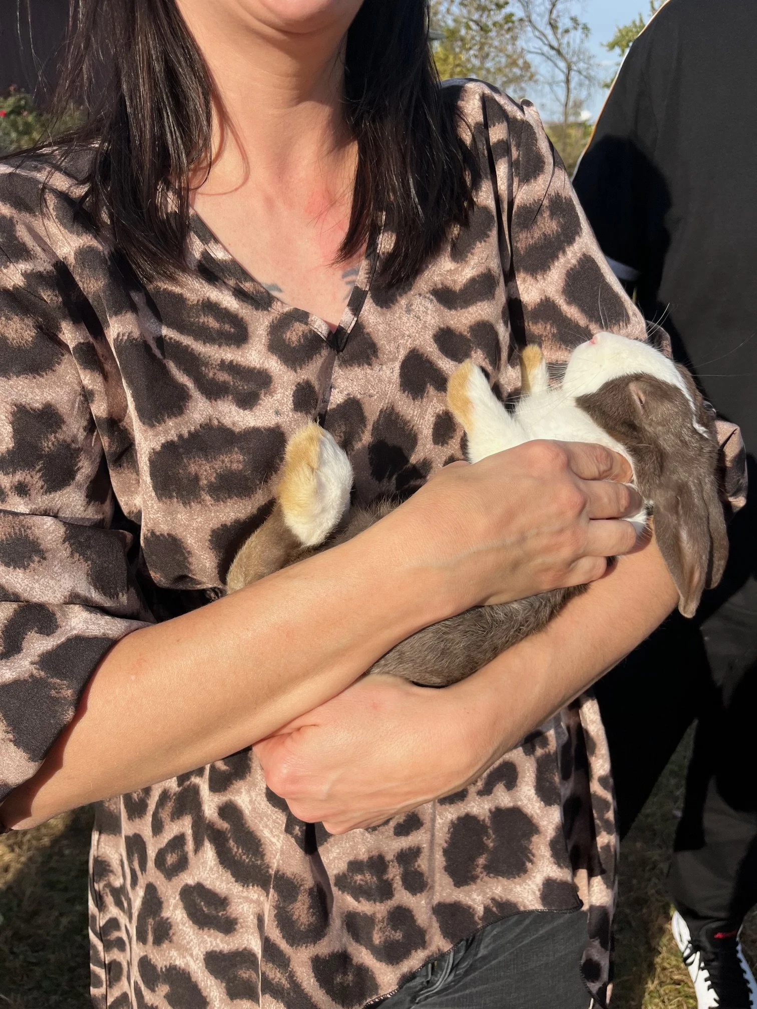 Person holding two small puppies outdoors, one cream-colored and the other brown and white, with a background of trees and sky.