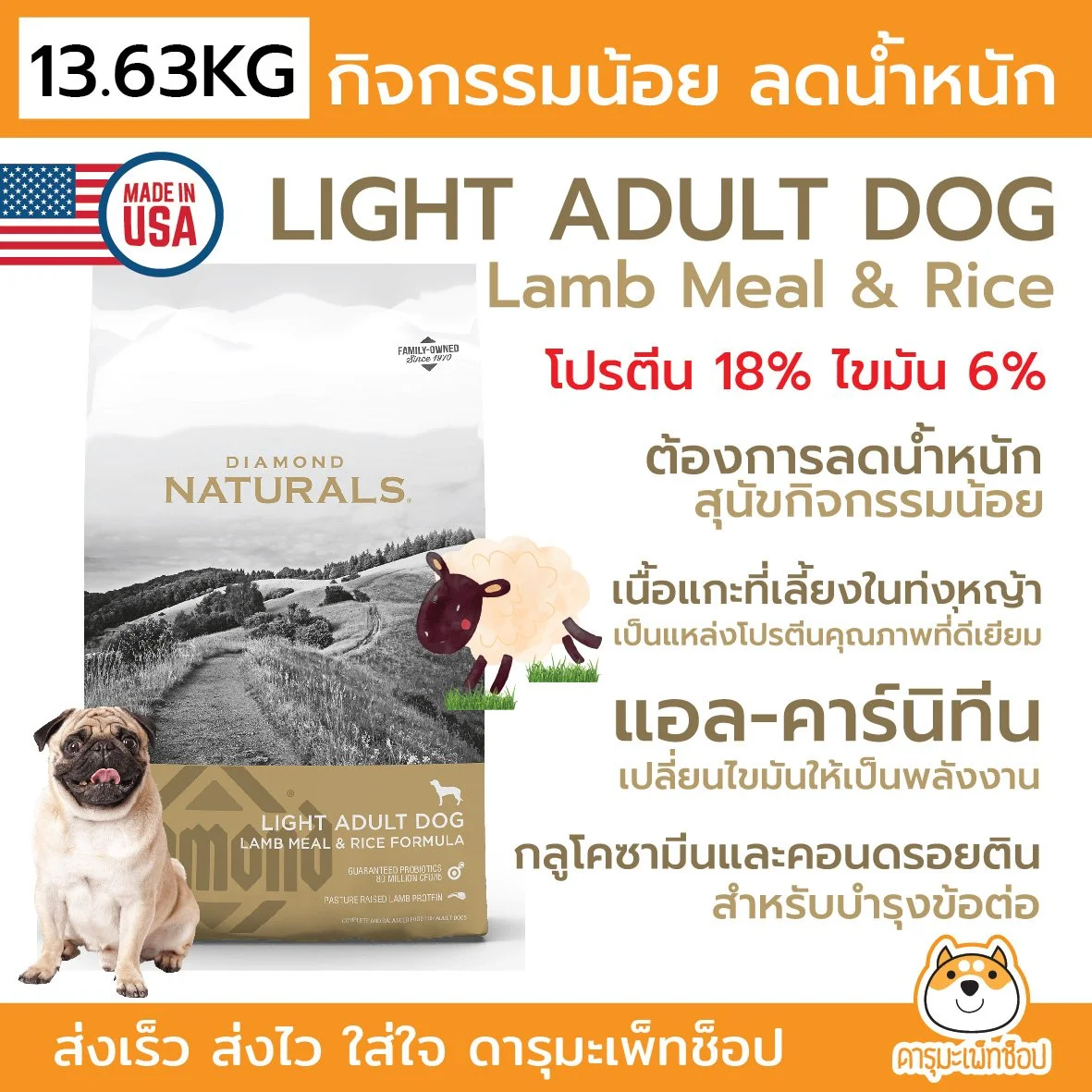light 13.62.jpeg