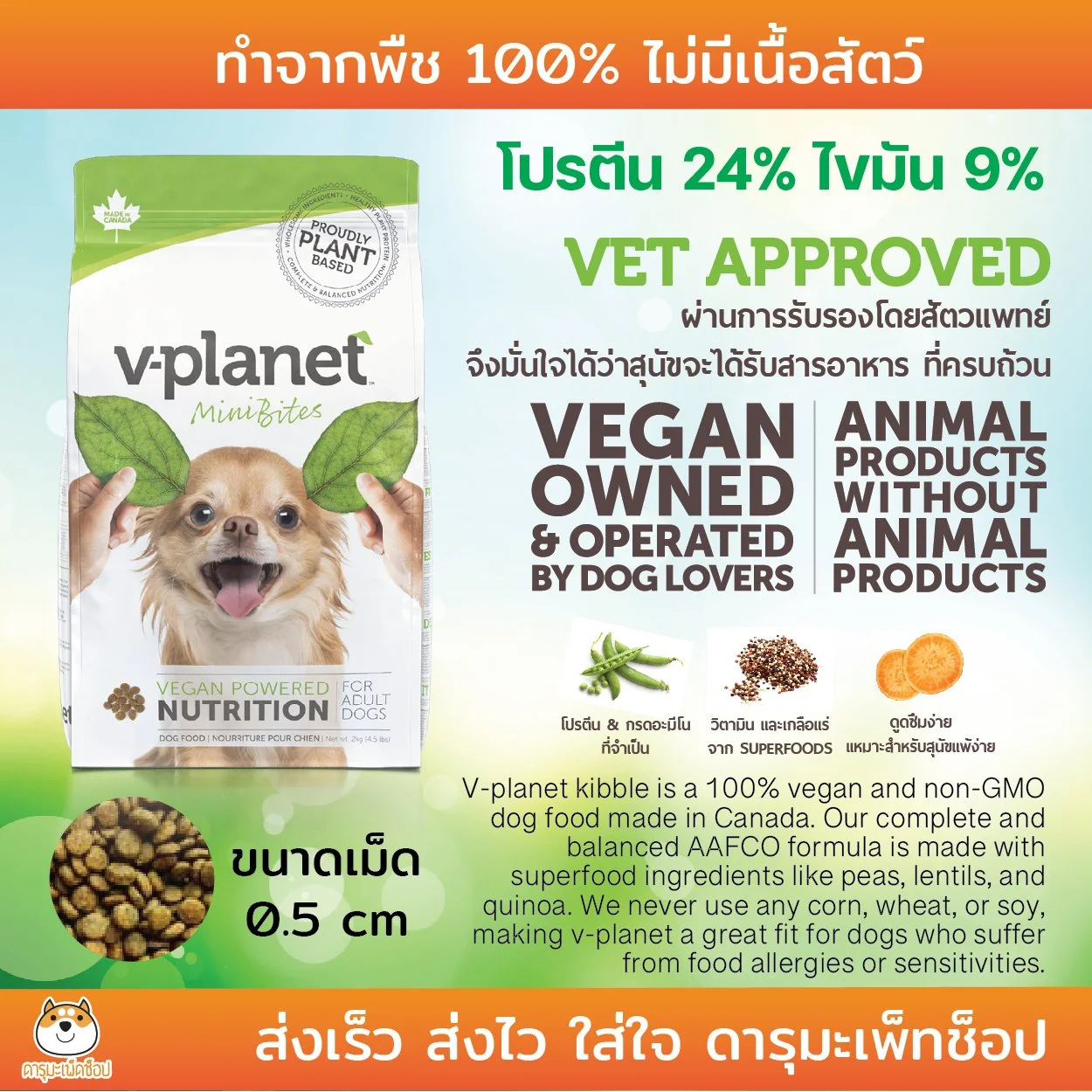 VPlanet-04.jpg