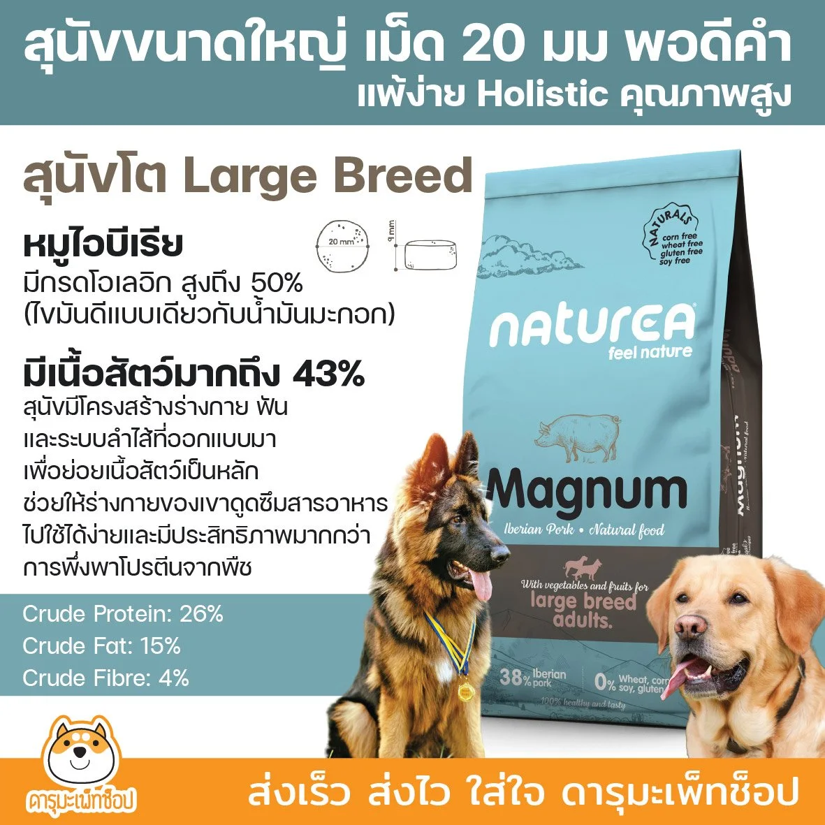 อาหารสุนัขขนาดใหญ่แพ้ง่าย Holistic สุขภาพดีเยี่ยม