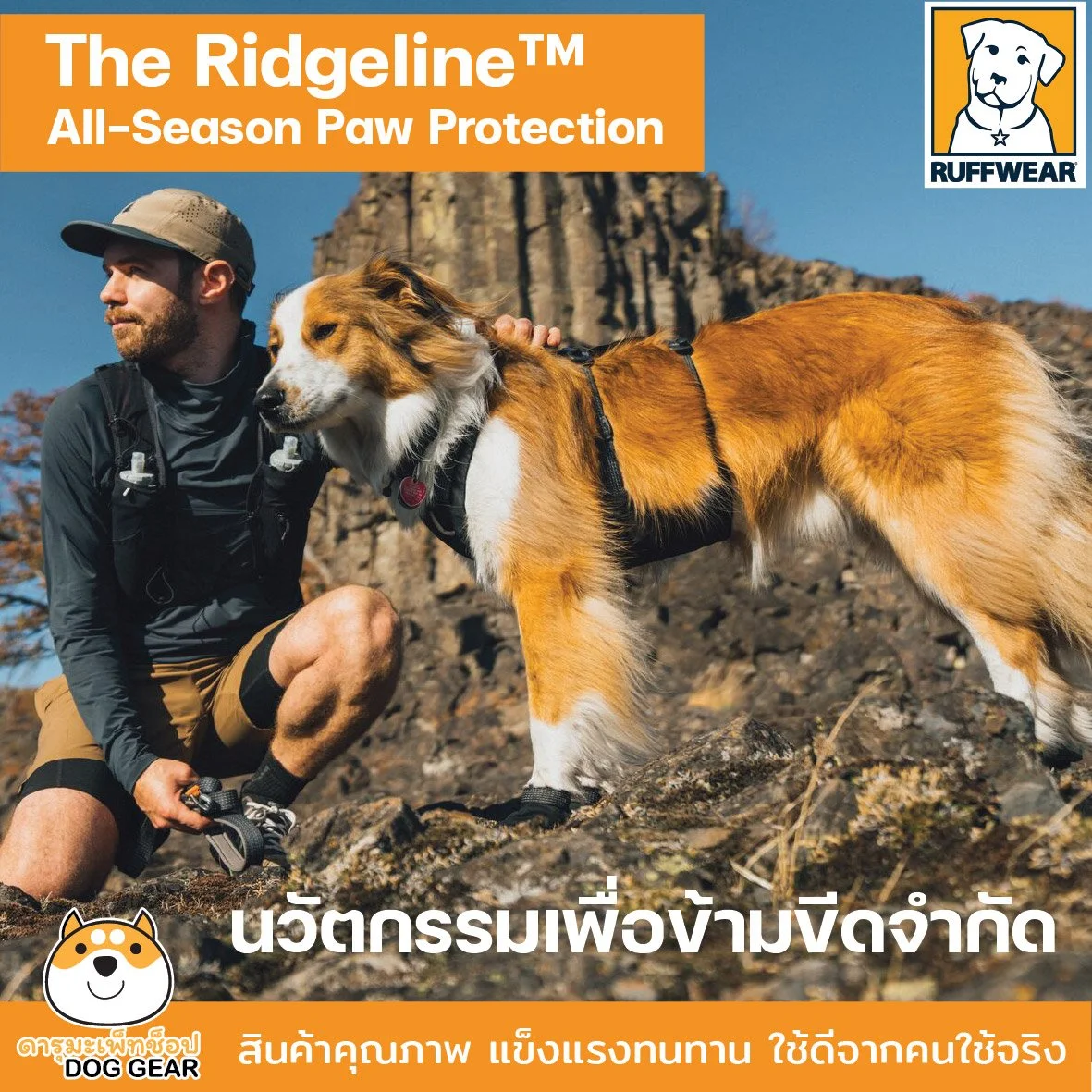 Ridgeline™ Harness Reflective High-Performance Harness With Magnetic Buckles