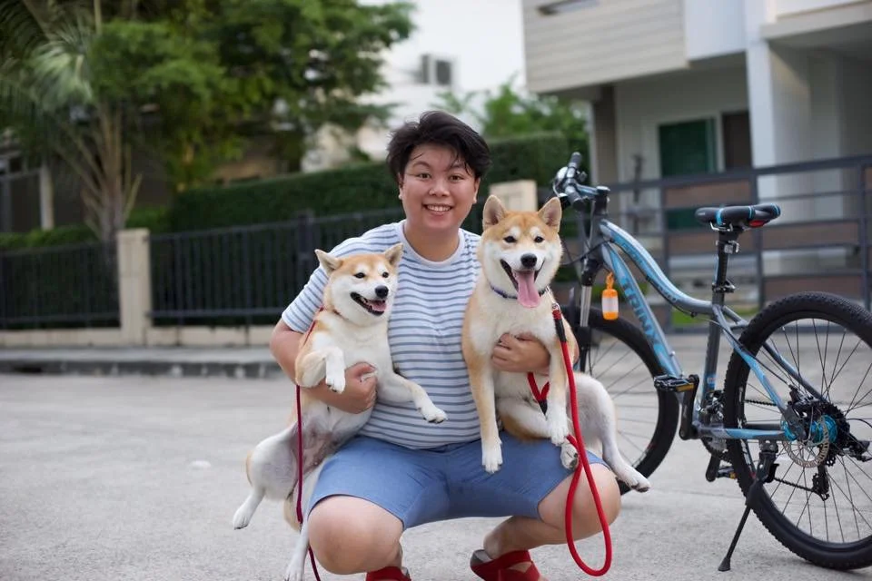 ปรึกษาปัญหาพฤติกรรมสุนัขเบื้องต้น