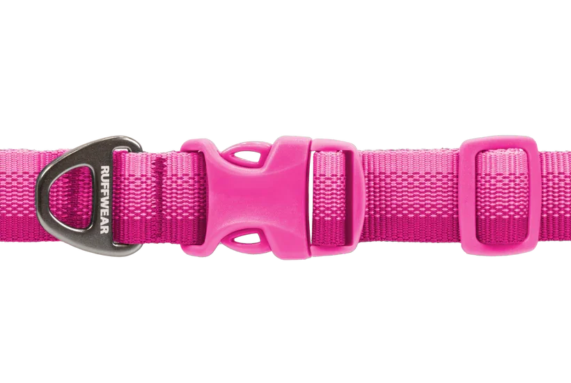 Compressed_PNG-25451_Front-Range-Collar_Pink_Buckle_STUDIO.png.webp