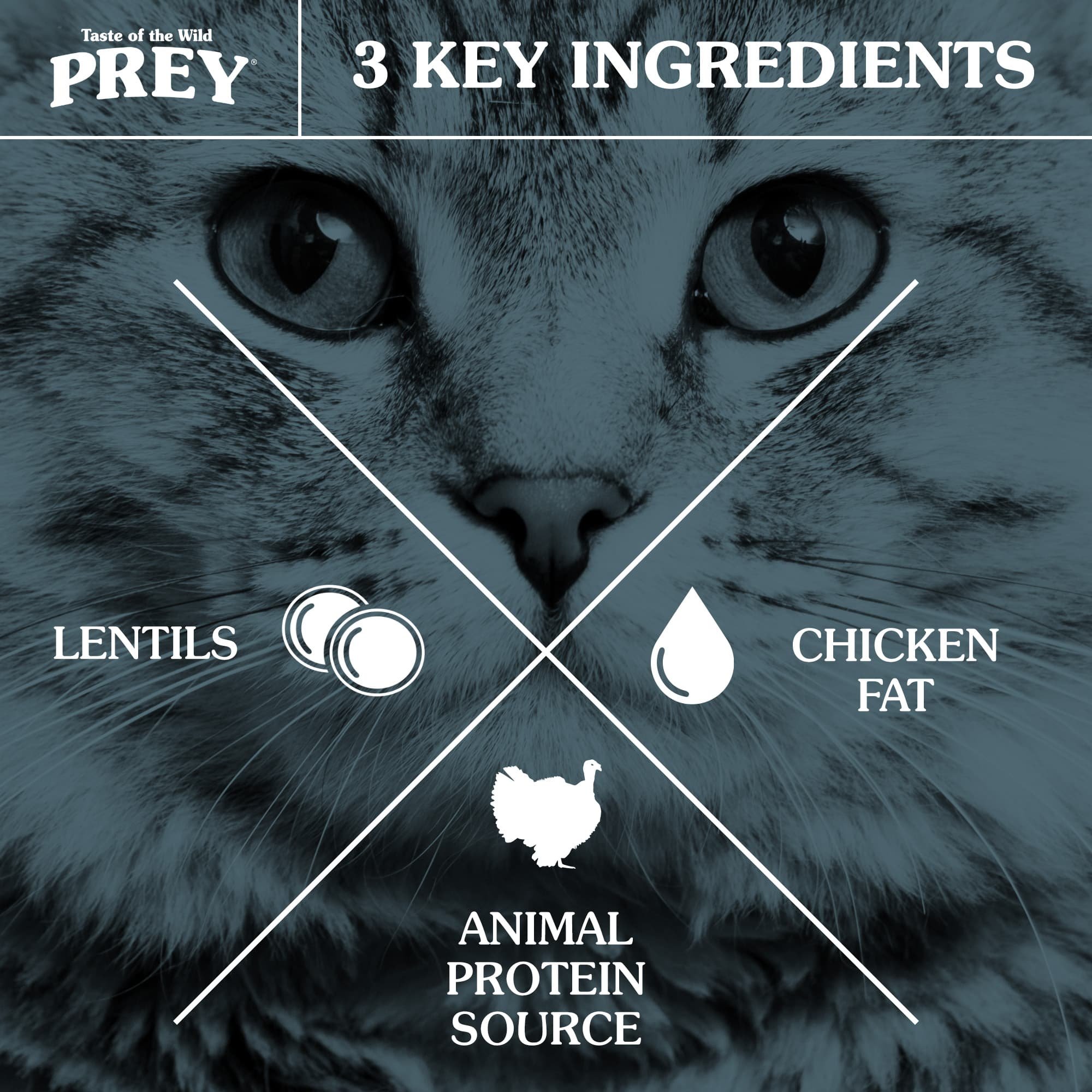 prey-turkey-cats-three-key-ingredients-121222.jpg