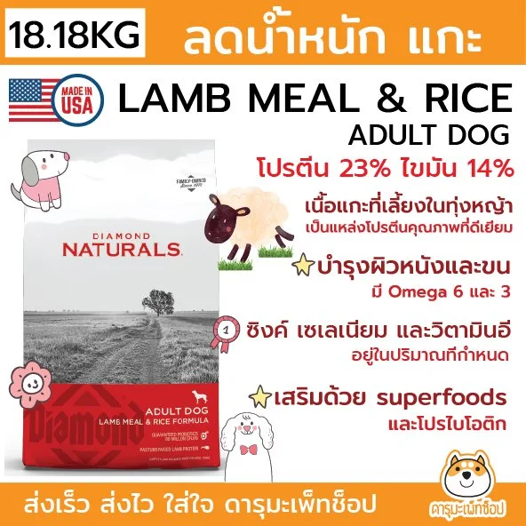 18.18KG.jpg
