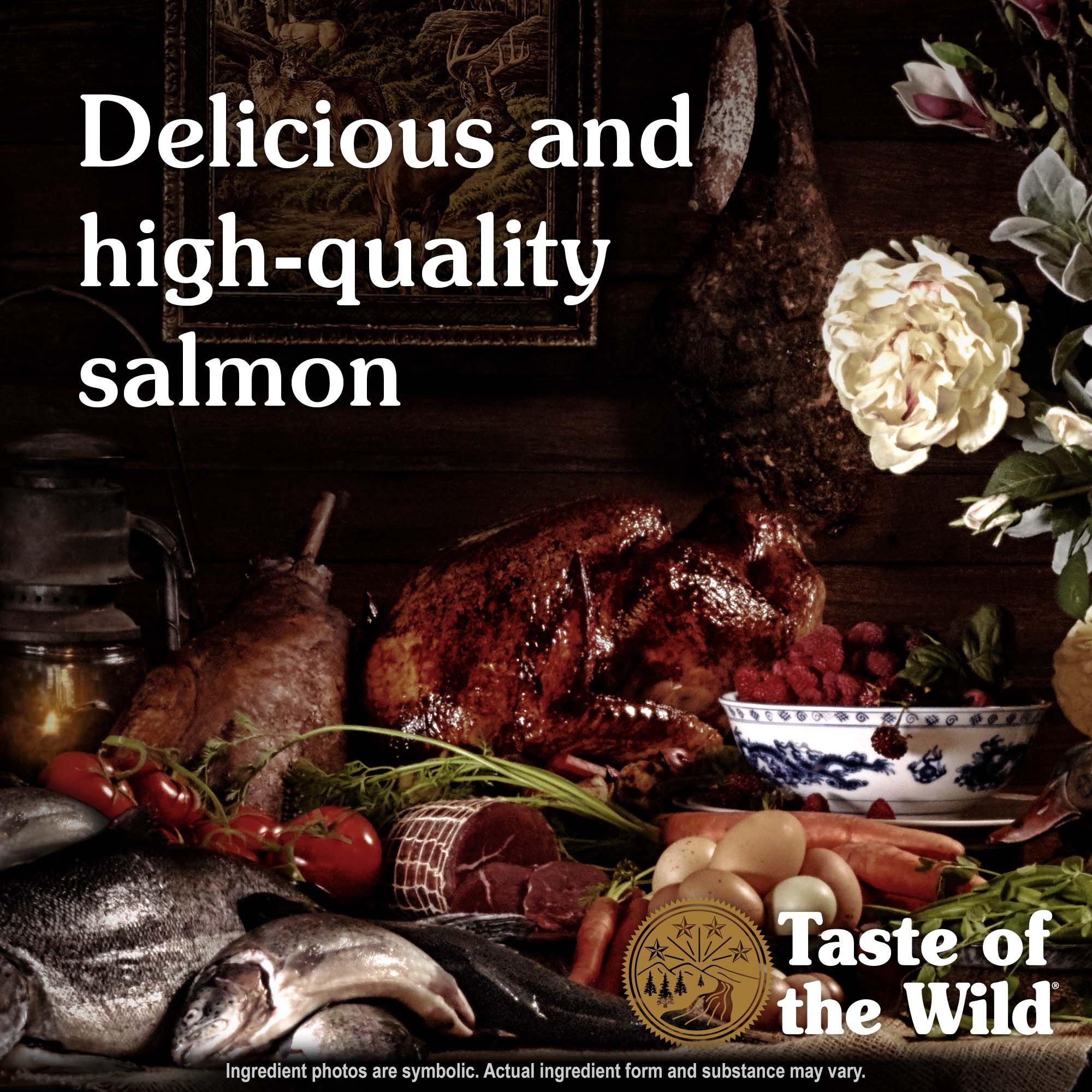 pacific-stream-canine-recipe-salmon-protein-061022.jpg