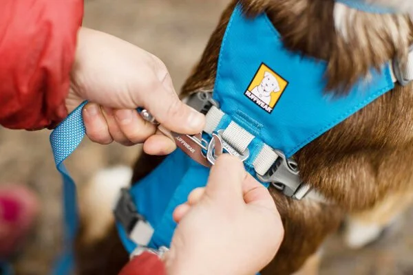 ruffwear-flagline-harness-hundegeschirr-mit-praktischem-griff-und-doppelter-sicherung-salmon-pink~13.jpg