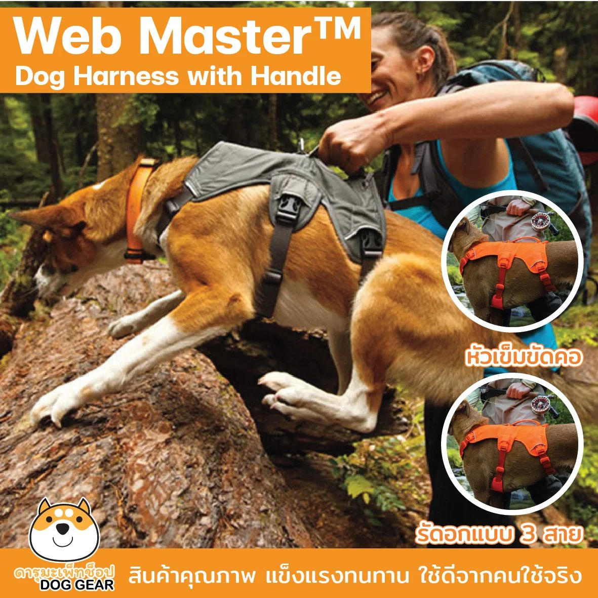 Web master-81.jpg