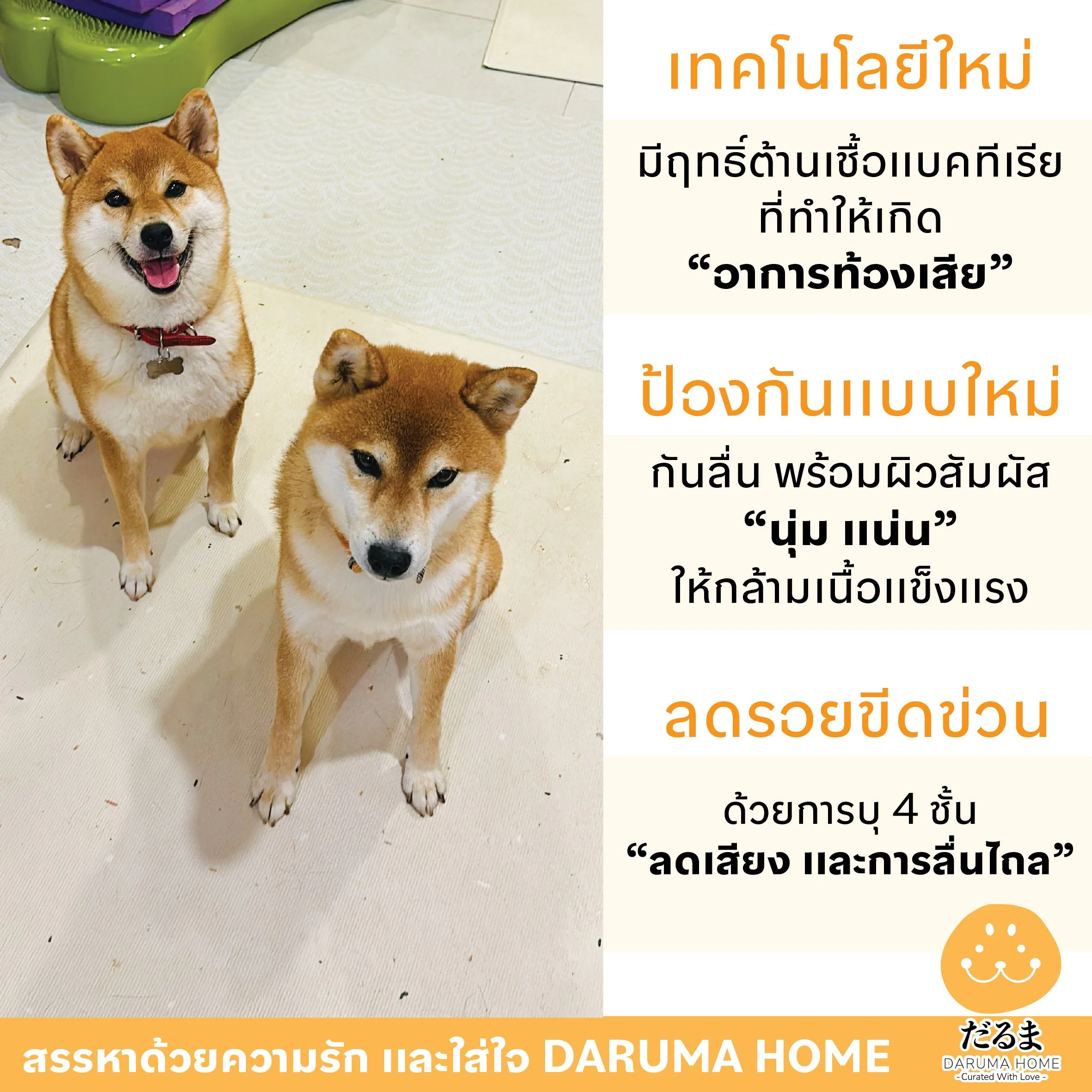 แผ่นรอง0.jpg