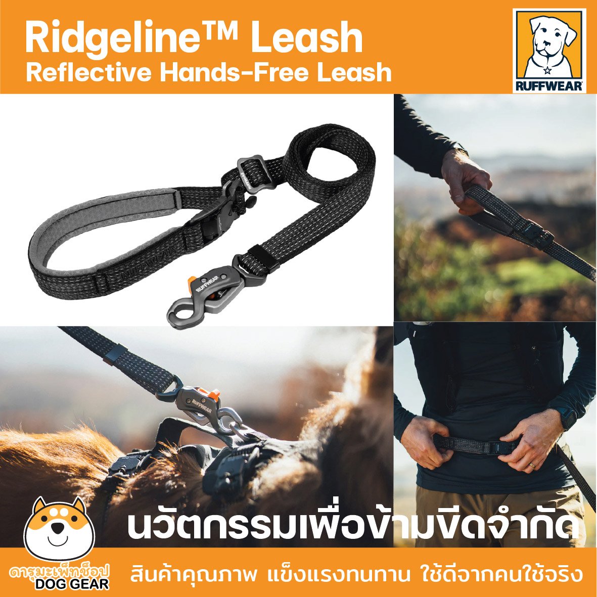 Ridgeline™ Leash Reflective Hands-Free Leash