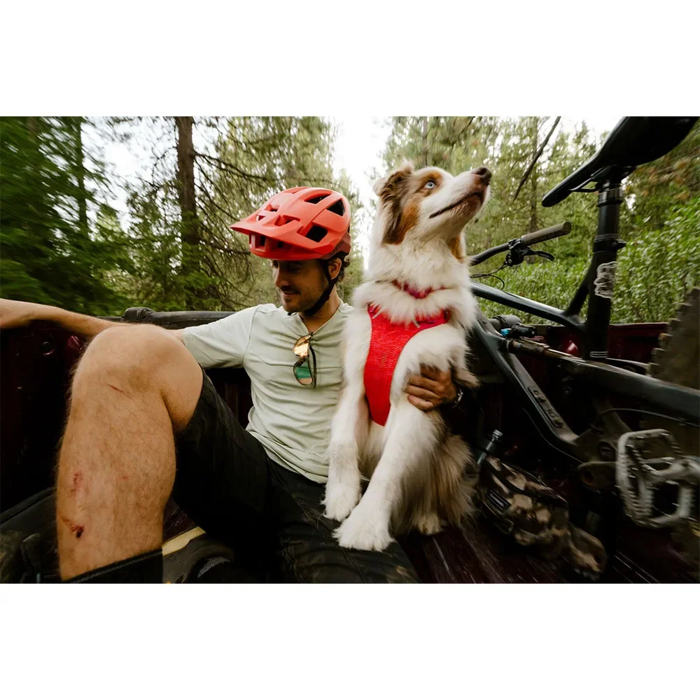 ruffwear-front-range--flex-harness.webp