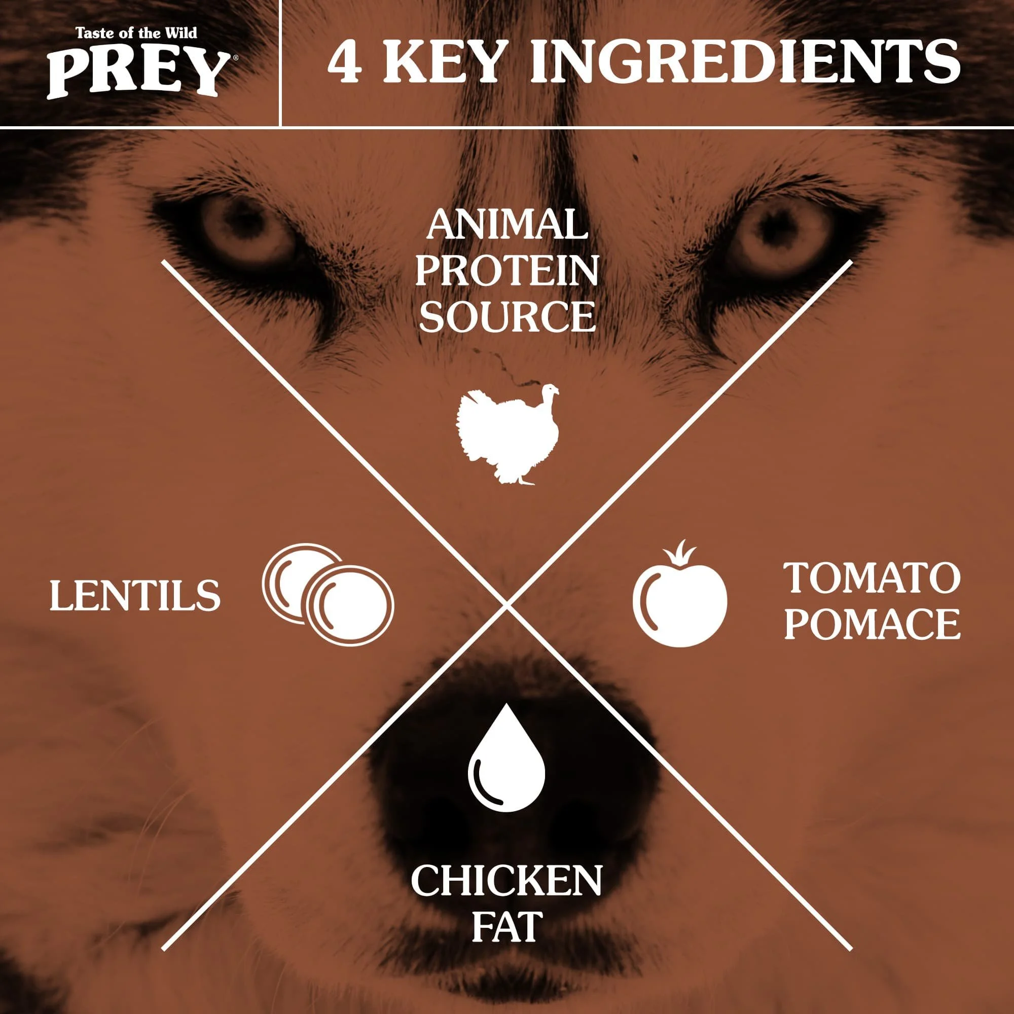 prey-key-ingredients-dogs-turkey-070822.jpg
