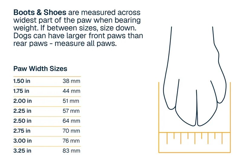 Boots_Size_Chart.png.webp