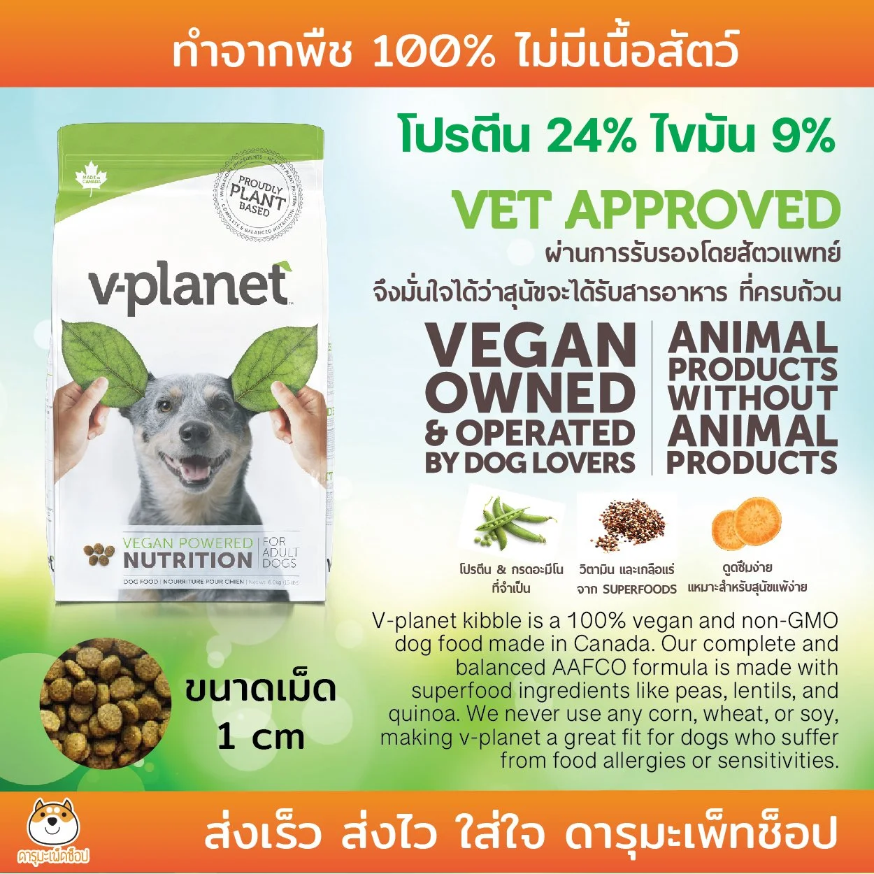 VPlanet-01.jpg