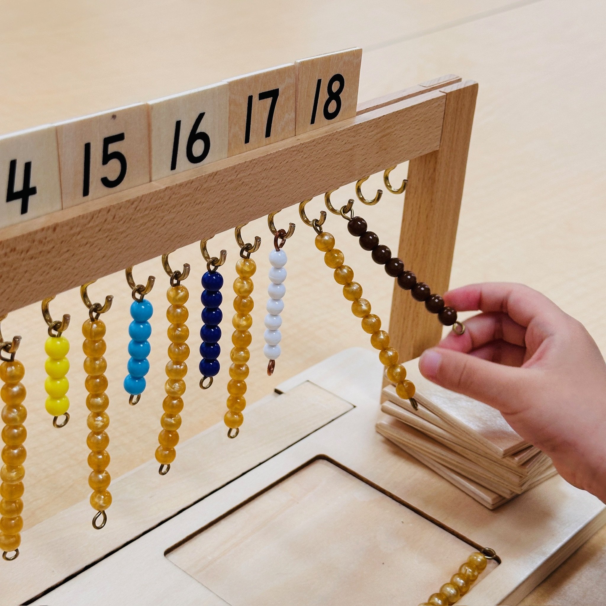 Montessori Teacher Advanced Ontario Diploma Program