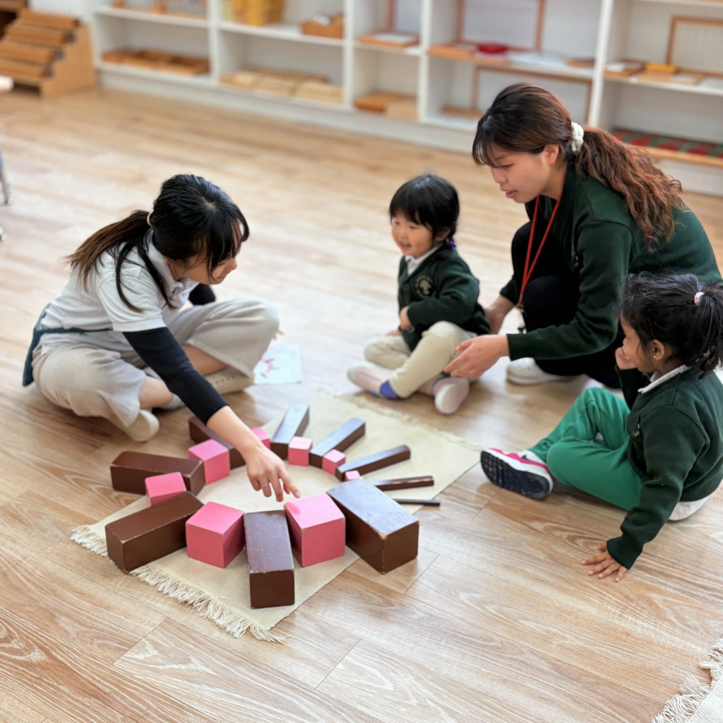 Montessori Early Childhood Education Diploma Program
