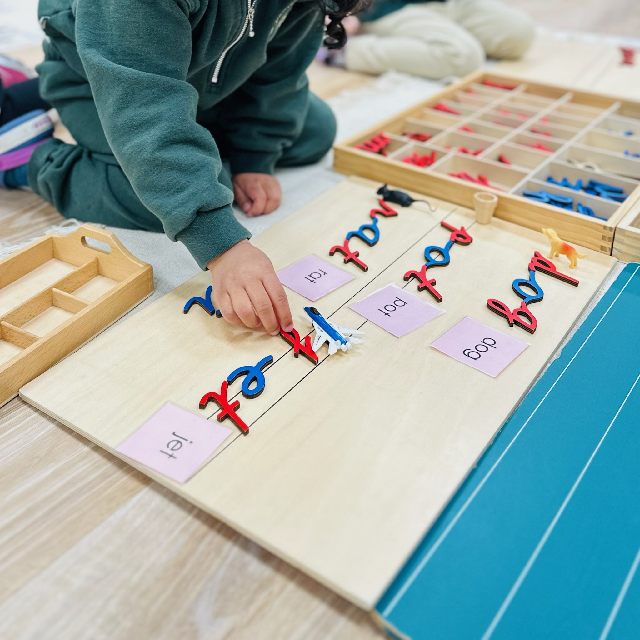 Montessori Teacher Ontario Diploma