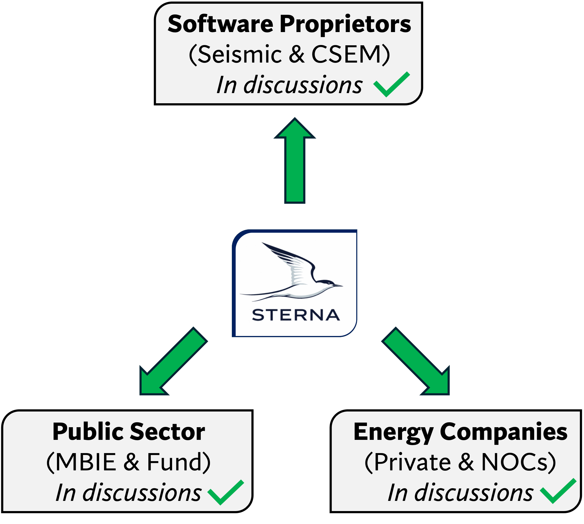 Flowchart with the central logo of STERNA, a bird in flight, and three arrows pointing to different groups. The top arrow points to a box labeled "Software Proprietors (Seismic & CSEM)" with a checkmark and the words "In discussions." The bottom left arrow points to a box labeled "Public Sector (MBIE & Fund)" with a checkmark and the words "In discussions." The bottom right arrow points to a box labeled "Energy Companies (Private & NOCs)" with a checkmark and the words "In discussions."