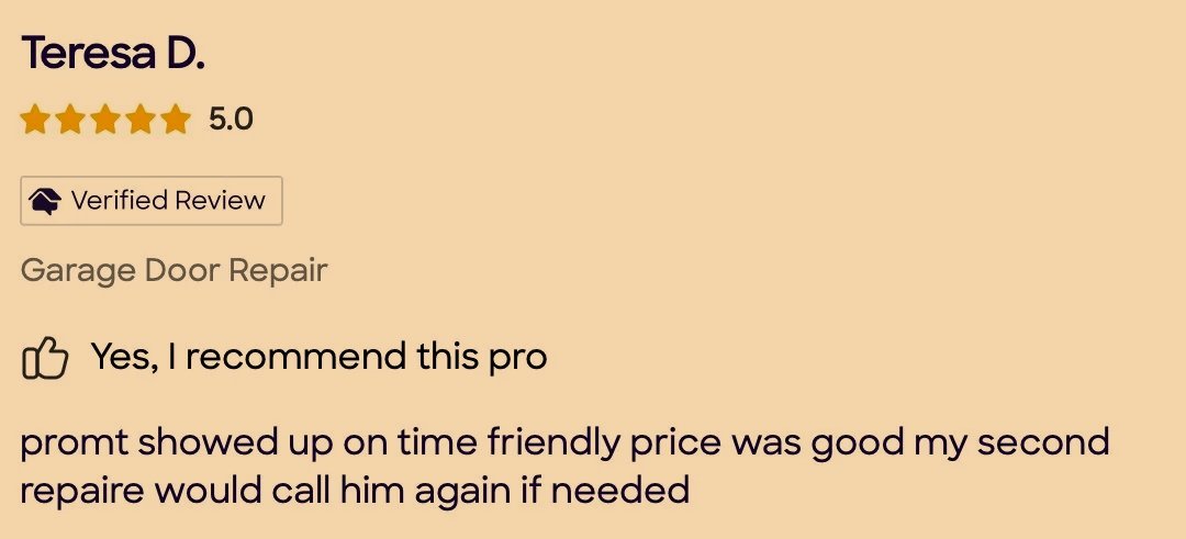Online review for Teresa D. recommending a garage door repair, with five stars, verified review badge, and positive feedback about punctuality and price.