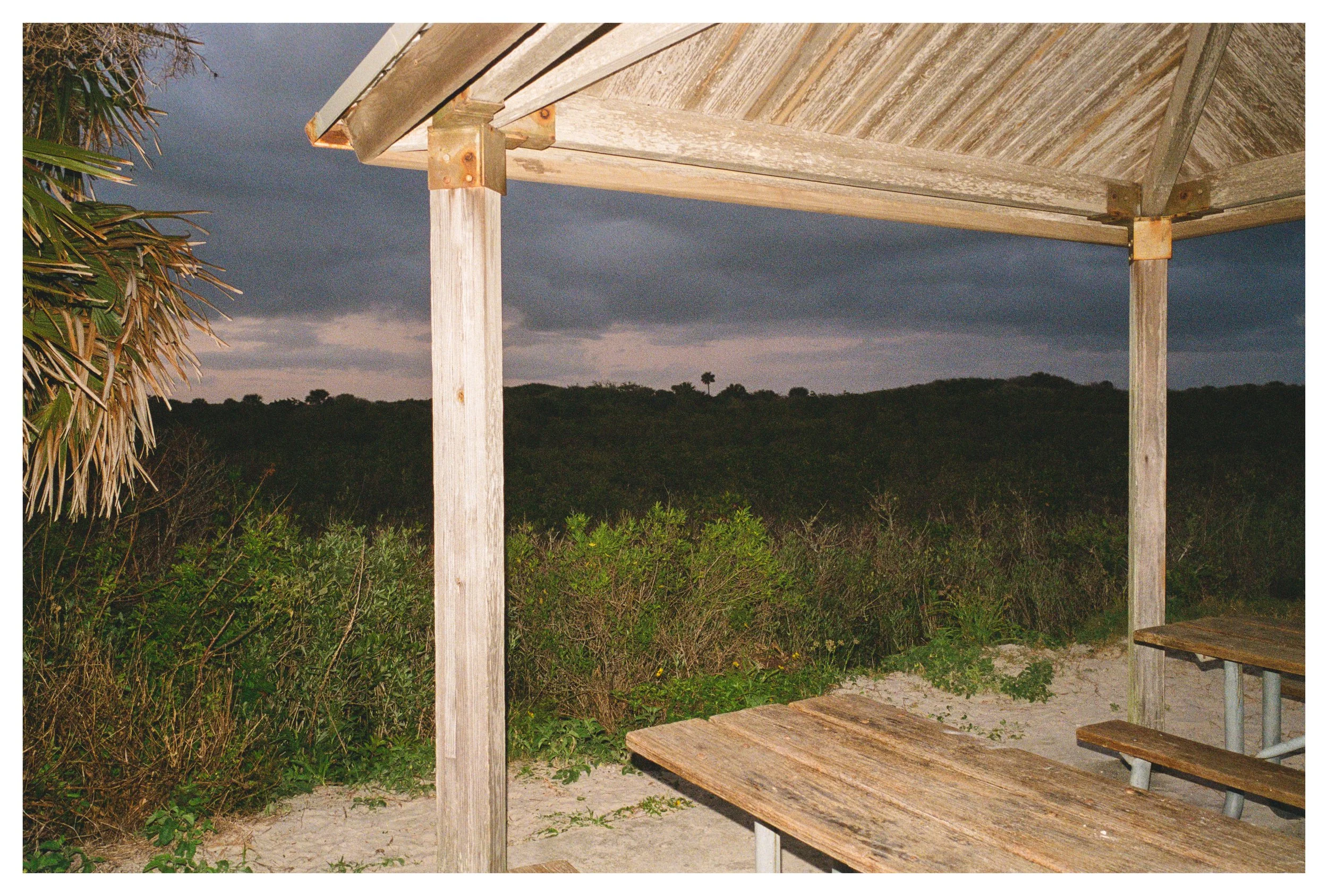 Portra 800 1-33.jpg