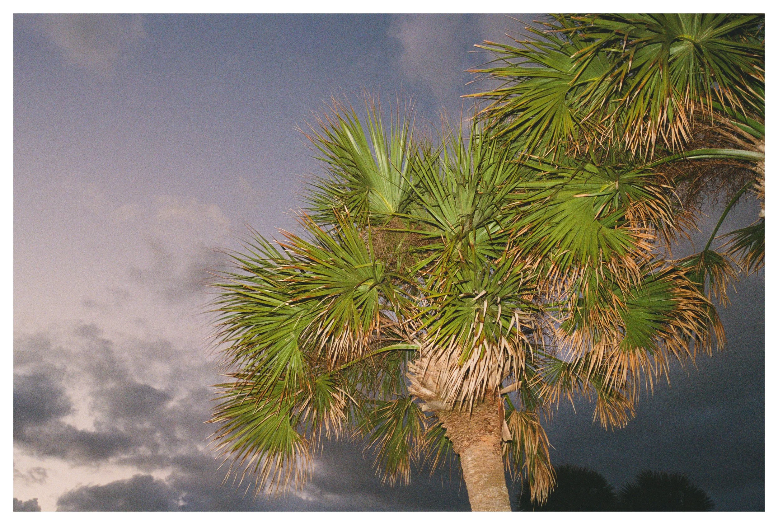 Portra 800 1-30.jpg