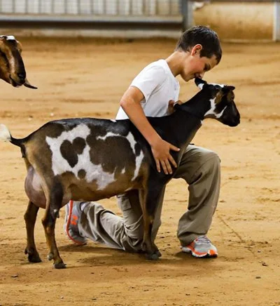 Dam: Sinai Thunder Macs's Beloved 3*M 3*D 89.9 VG+ PC: Southern Grace