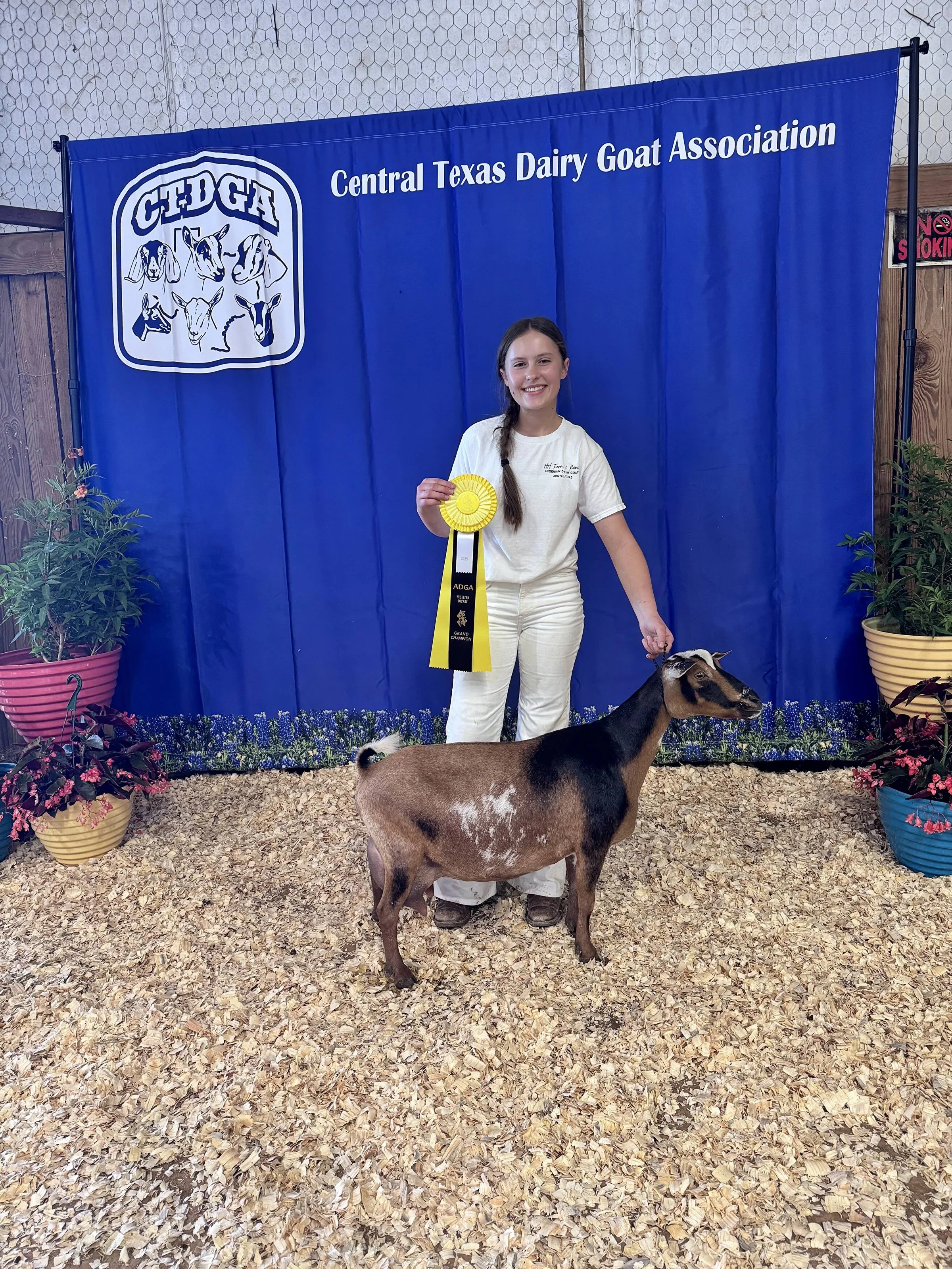 Dam: The GTB Annabelle 1*M VEEE 90 PC: HH Farm & Ranch