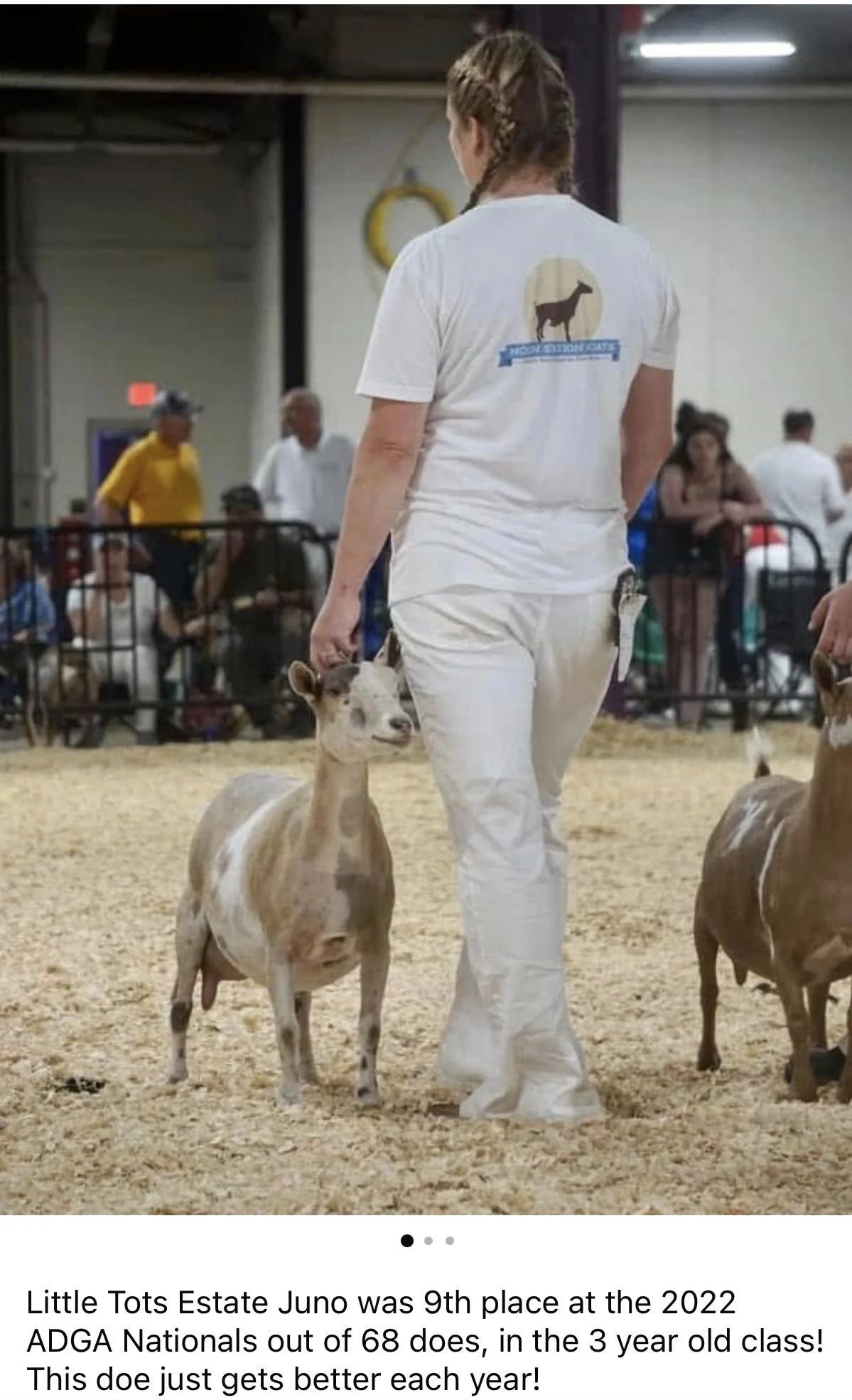 Dam: CH Little Tots Estate Juno VVEE90 PC: Moon Station