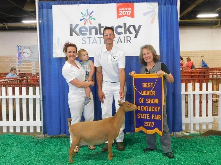 SDD: CH Wood Bridge Farm 22K Gold EEVE 91 PC: Agape's Prize