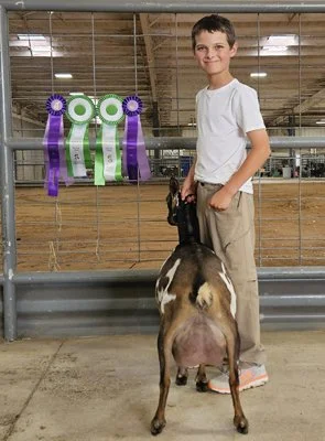 Dam: Sinai Thunder Macs's Beloved 3*M 3*D 89.9 VG+ PC: Southern Grace