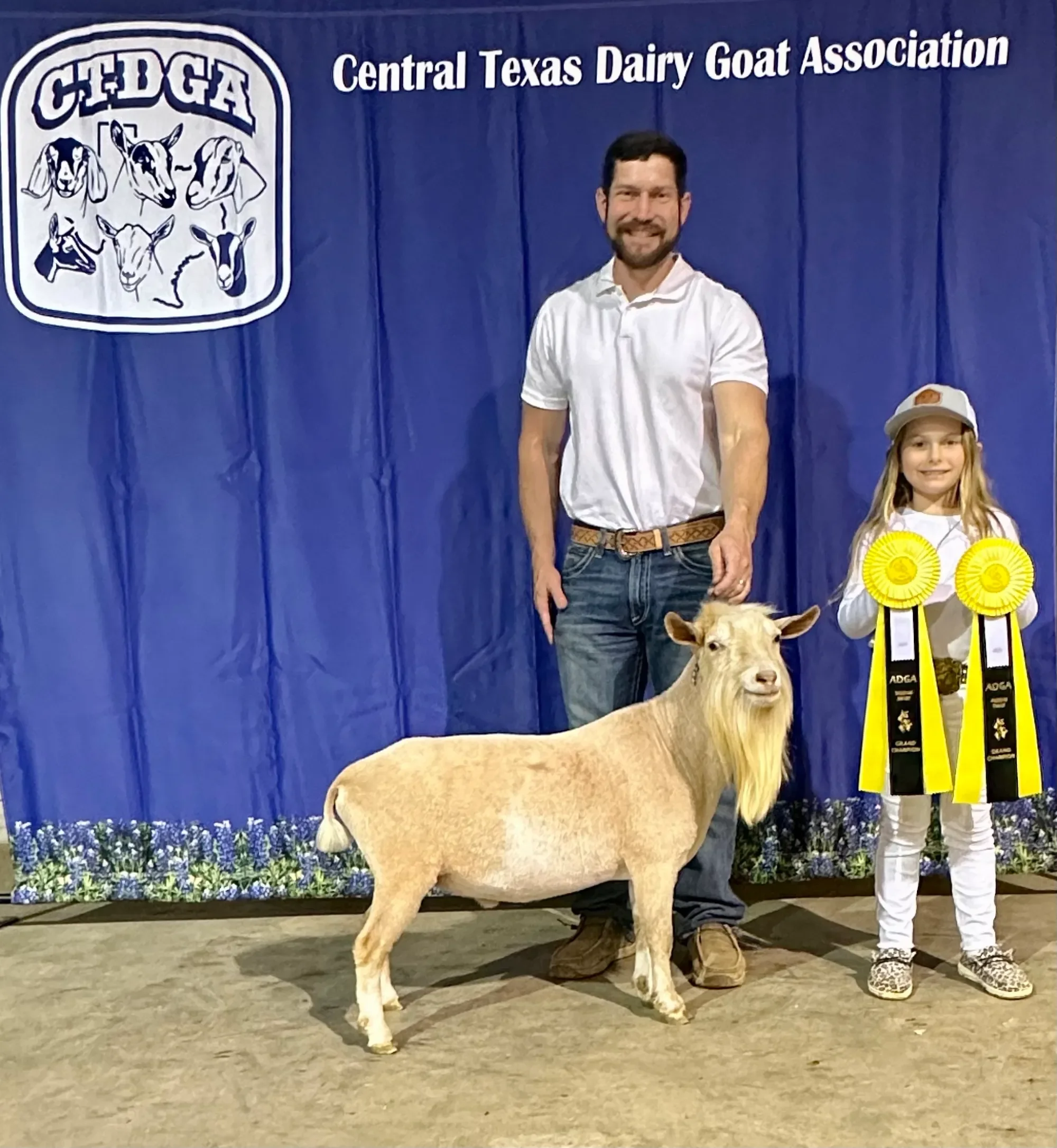 Sire: CH Agape's Prize Trip Trap. PC: Howling Goat Farms