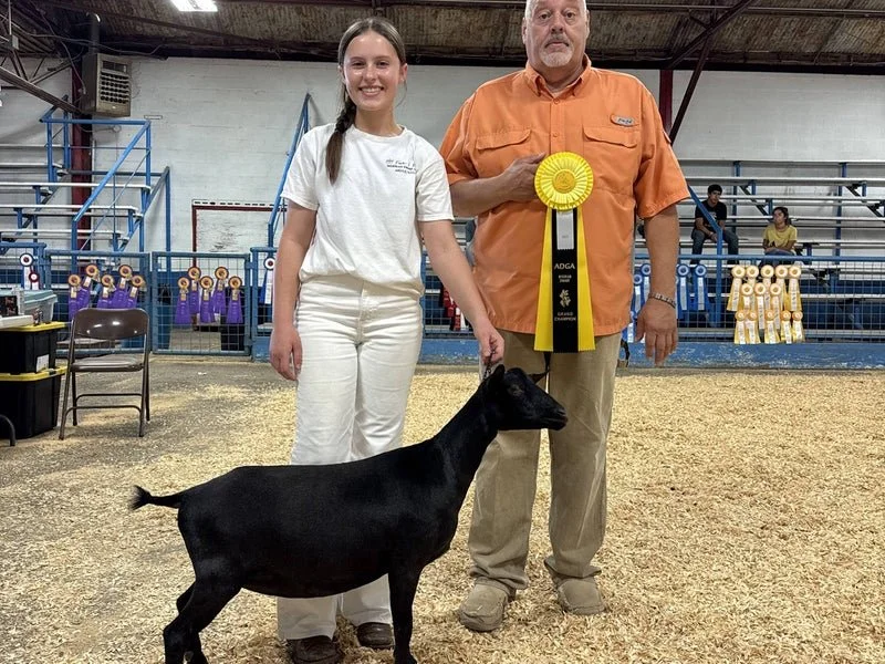 HH Ranch CC Sweetheart, Grand Champion under judge Bob Bartholomew at the Fire & Brimstone show PC: HH Farm & Ranch