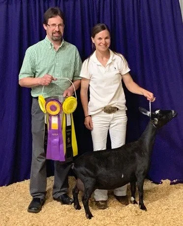 DS Full Sister: GCH Buffalo Clover Katrina 2*M PC: Southern Grace