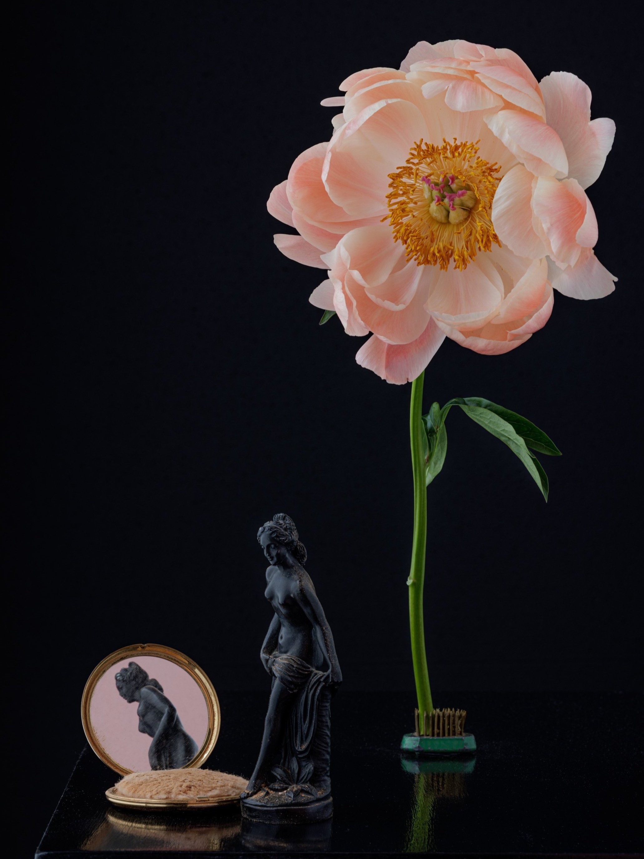 A large pink peony flower with green leaves stands on a green stem, along with small decorative items including a black statue of a woman, a small round mirror reflecting the statue, and a cluster of green and pink elements, all set against a black b