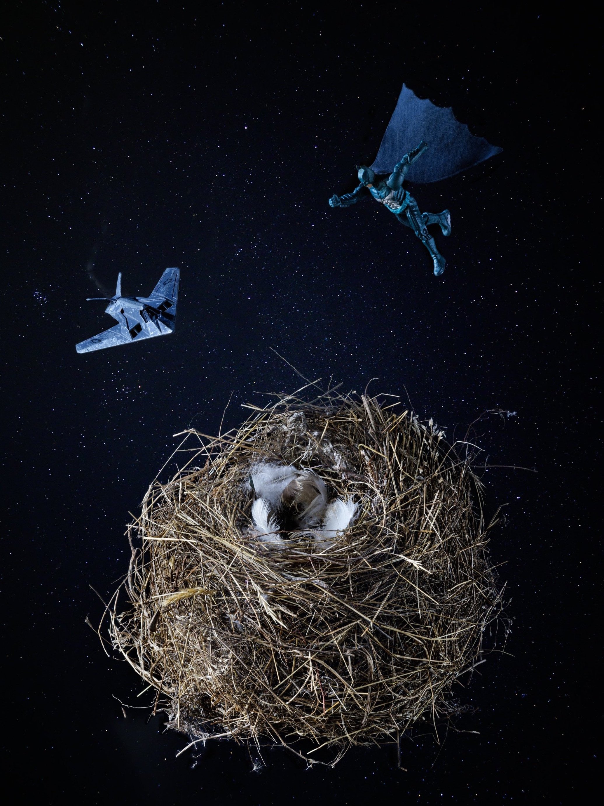A star field with a nest containing a bird, a robot, and a spaceship flying above.
