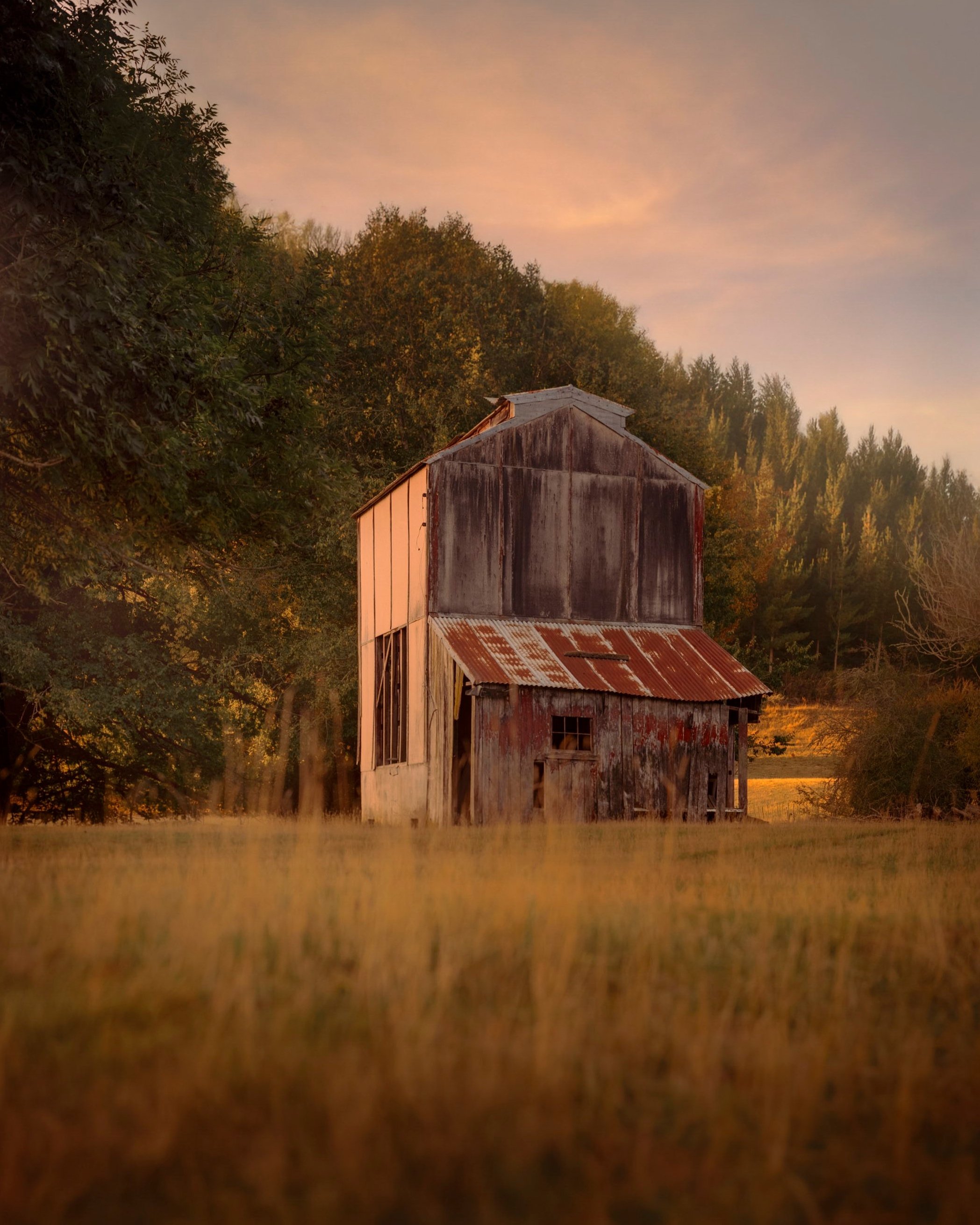 An old, weathered hop kiln with rusted metal roof and damaged walls, set in a grassy field during sunset with trees in the background.