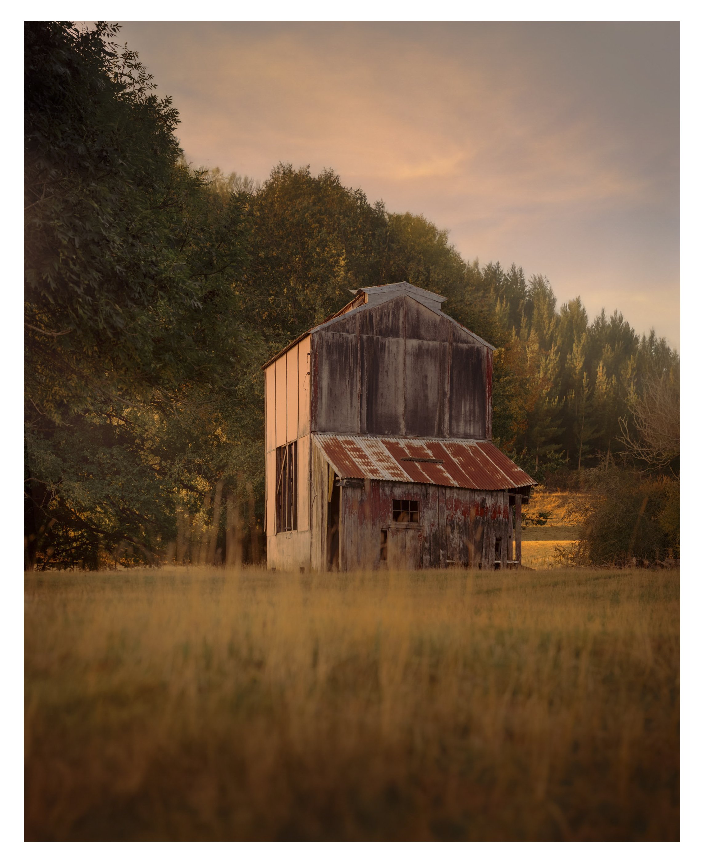 Dovedale_a_1 copy.jpg