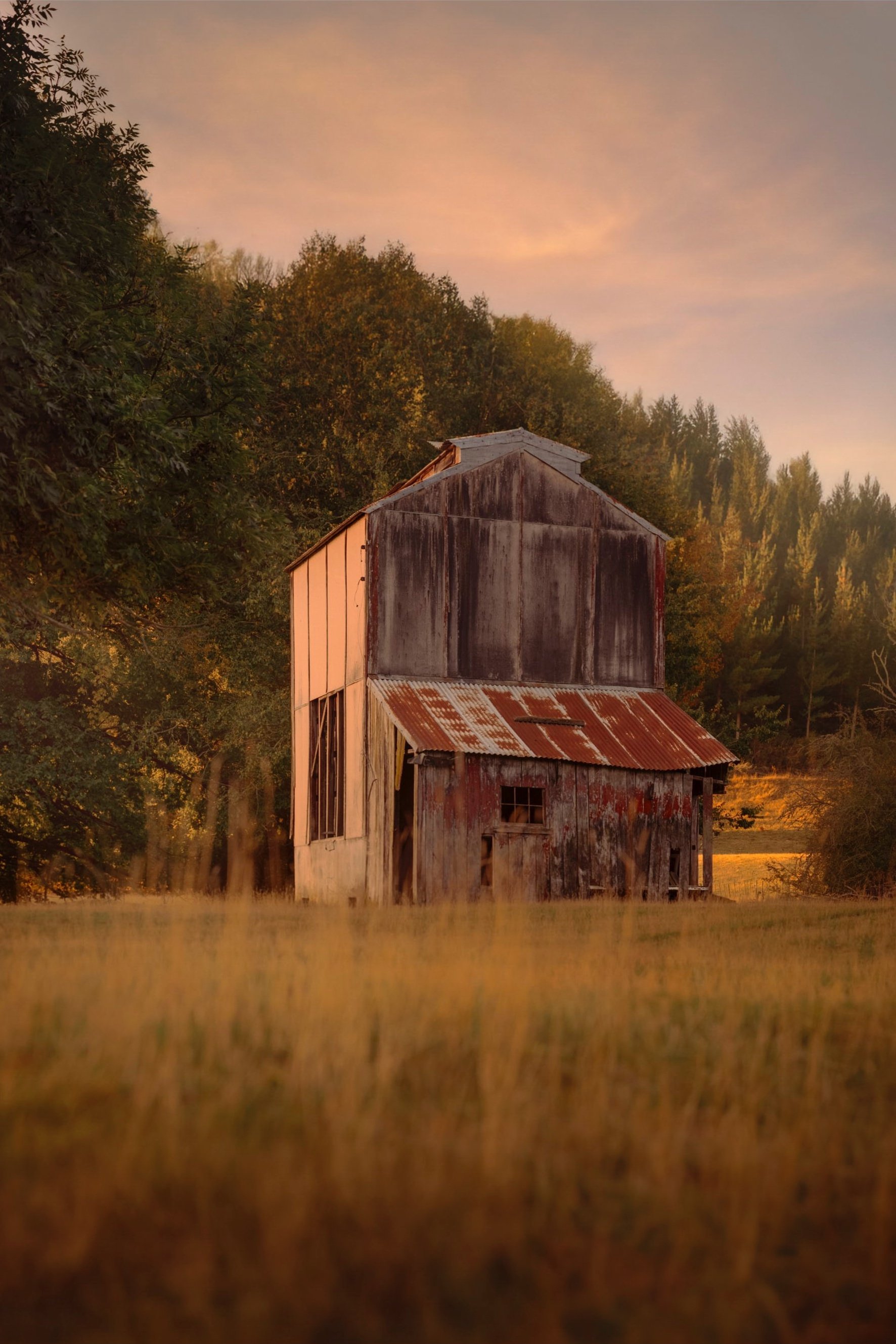 The Hop Kilns of Nelson