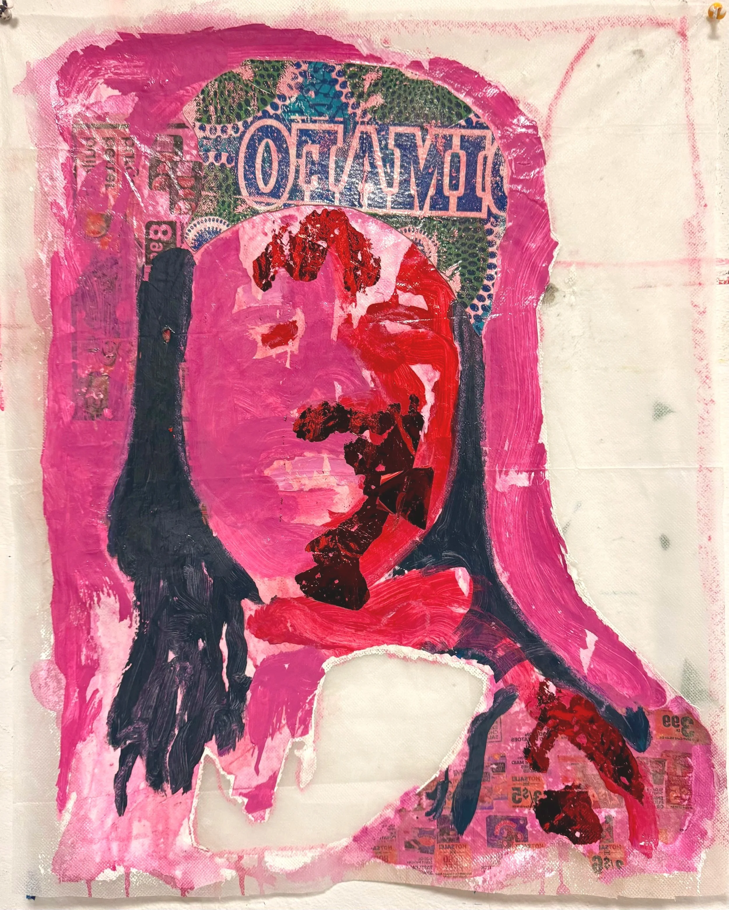 Pink lady. 2025.
Acrylic, Image transfer and heat transfer on frost fabric.
16 x 20 inches.
