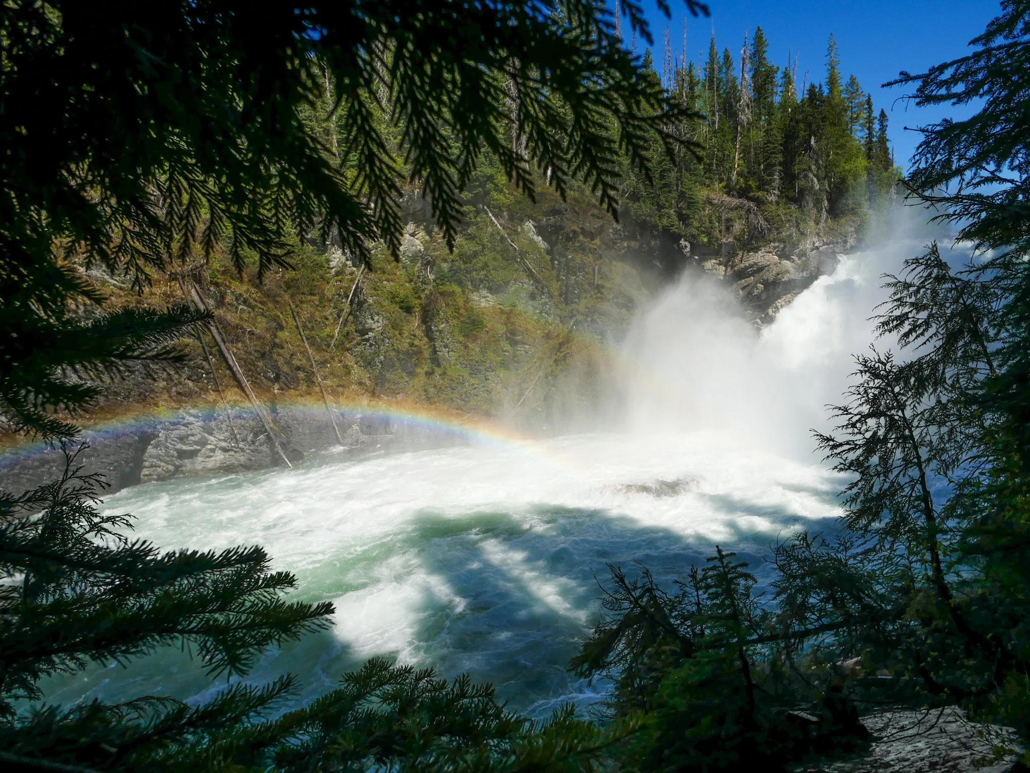 A view of the Cariboo waterfall through green tree branches with a rainbow near the base of the waterfall and a clear blue sky on the Bowron Lake Circuit