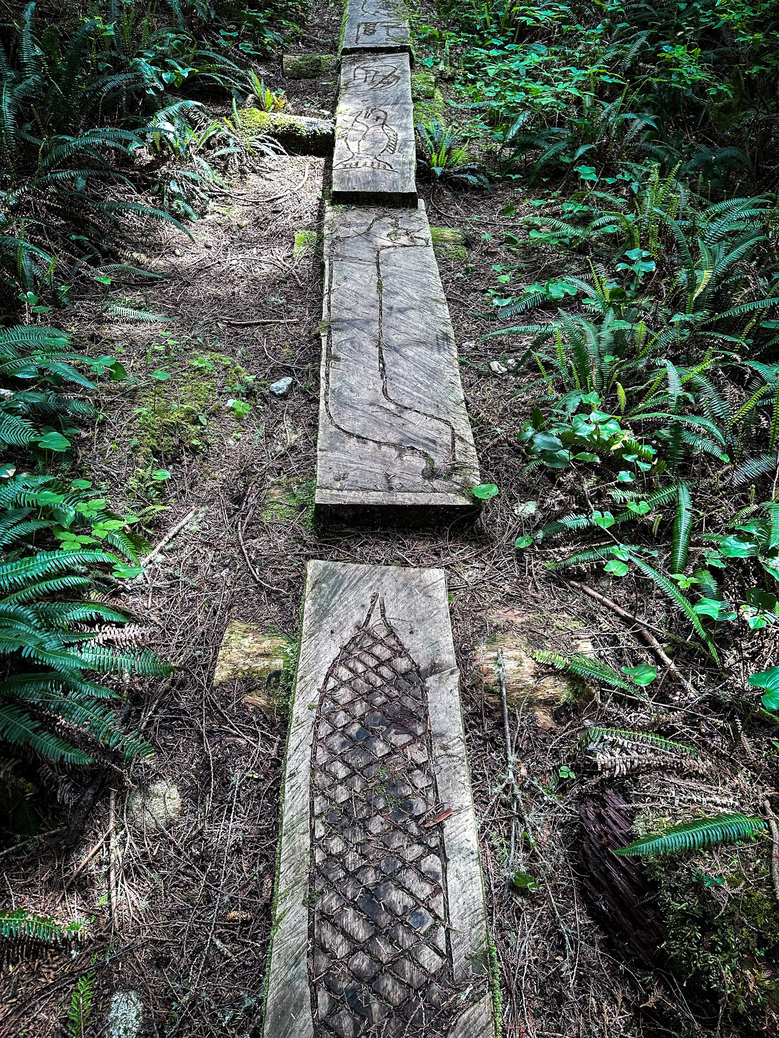 boardwalks - West Coast Trail