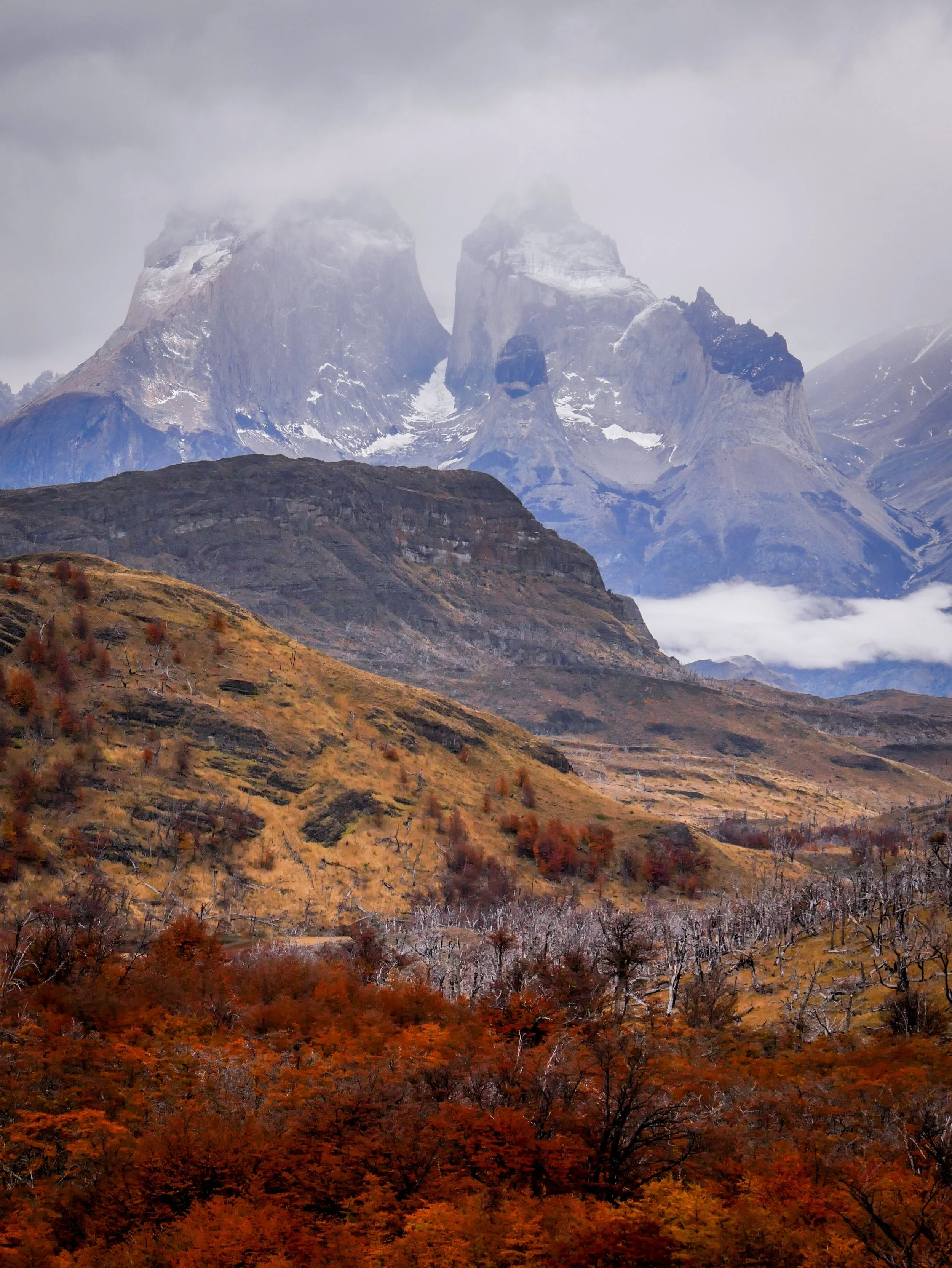 Los Cuernos Torres Patagonia