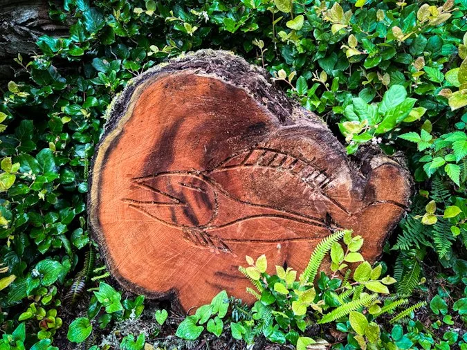 West Coast Trail - Indigenous art