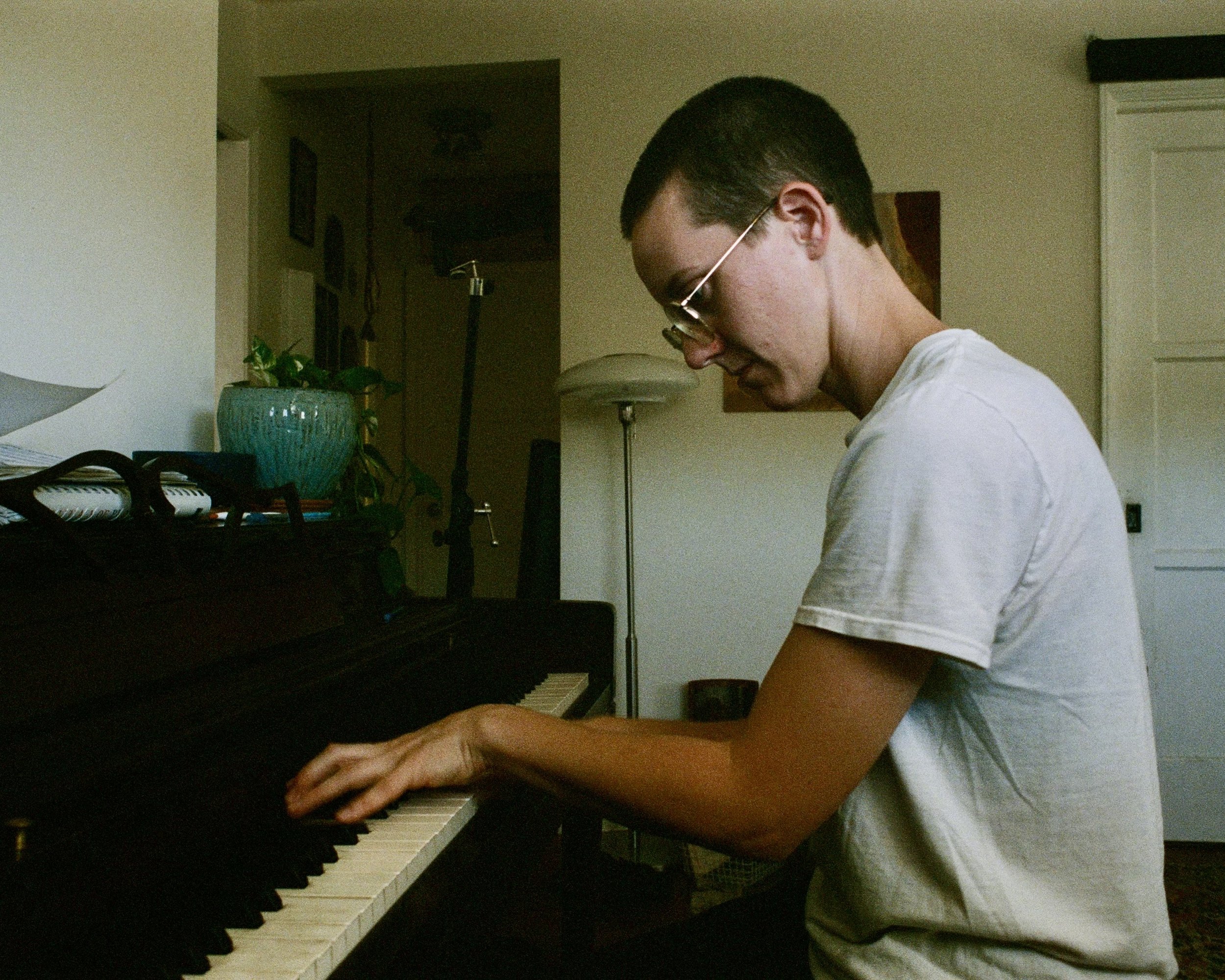 Person playing piano in a room with a lamp and a green plant.